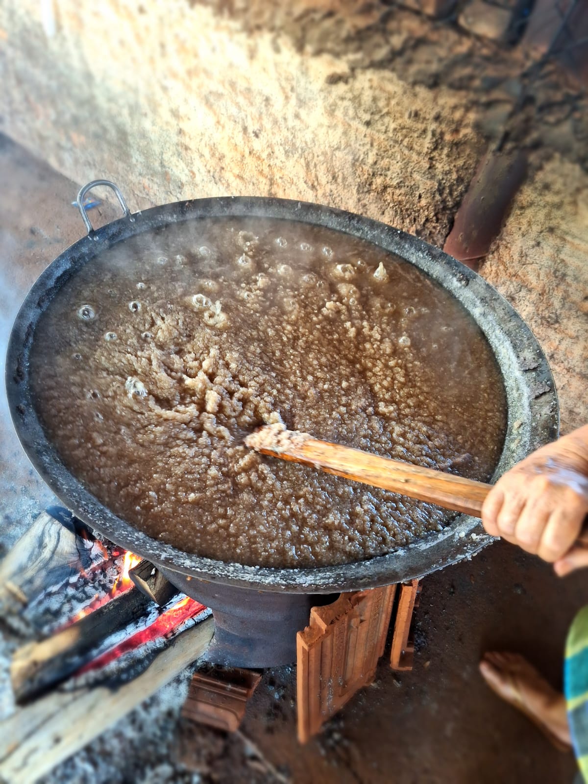 JARACATIA_ (10).jpeg